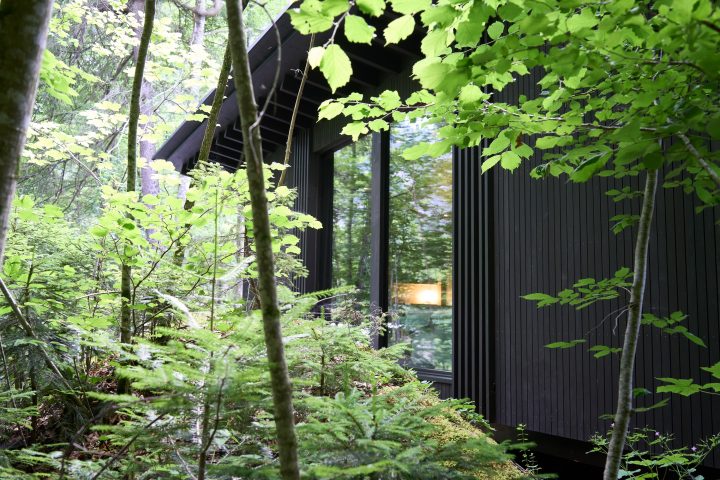 Forest Houses, Blausee, BE. — Hildebrand Studios AG, Architecture and Urban Design in Zurich, Switzerland
