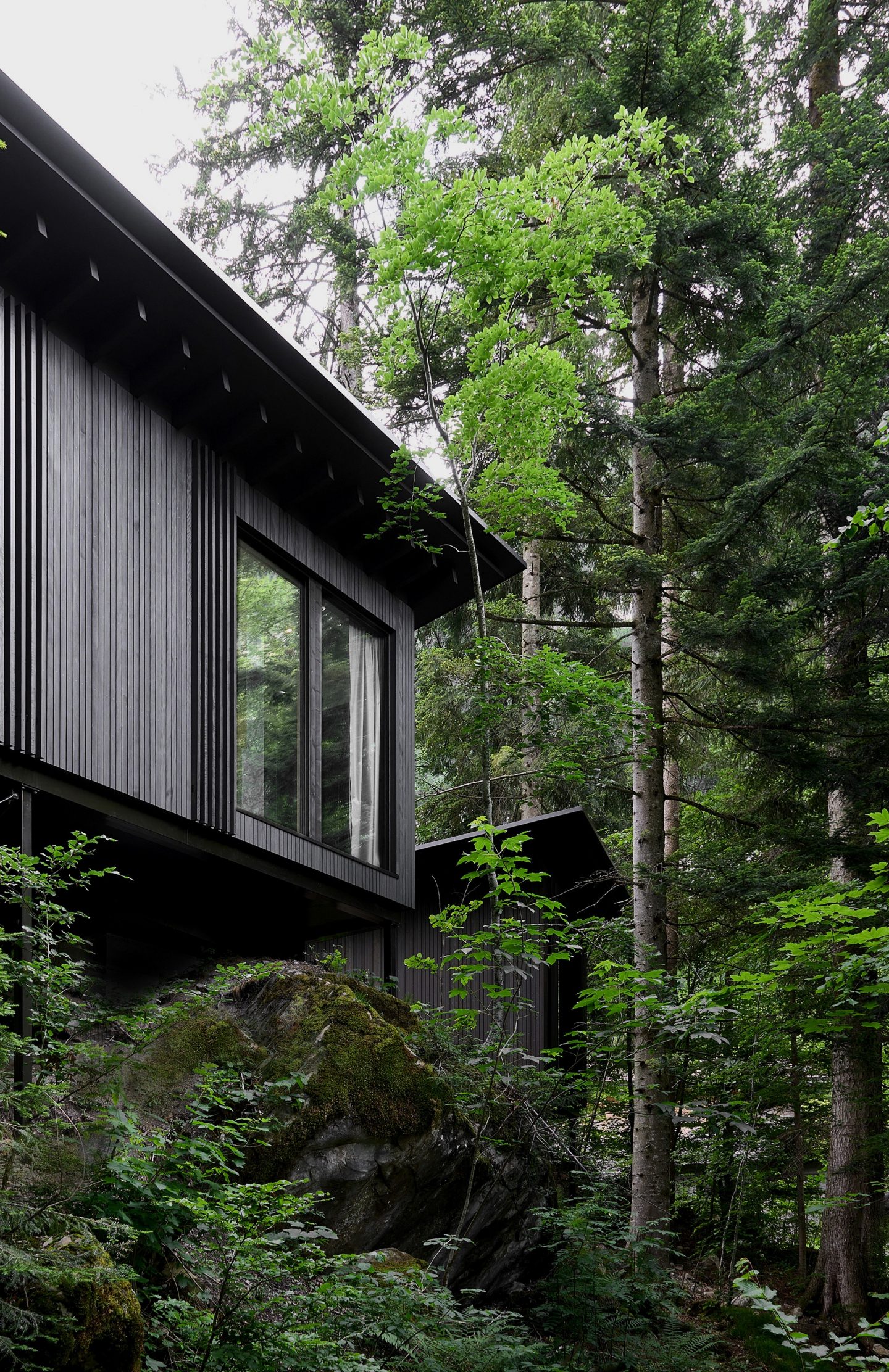 Forest Houses, Blausee, BE. Hildebrand Studios AG, Architecture and Urban Design in Zurich, Switzerland